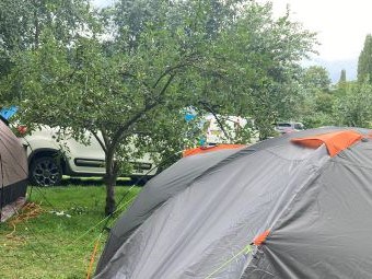 camping to close to fruit tress